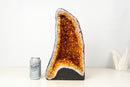 High - Grade Natural Citrine Geode with Rich Cognac - Orange Druzy (33 lb) - E2D Crystals & Minerals