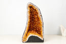 High - Grade Natural Citrine Geode with Rich Cognac - Orange Druzy (33 lb) - E2D Crystals & Minerals