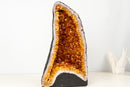 High - Grade Natural Citrine Geode with Rich Cognac - Orange Druzy (33 lb) - E2D Crystals & Minerals