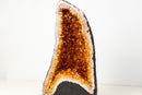 High - Grade Natural Citrine Geode with Rich Cognac - Orange Druzy (33 lb) - E2D Crystals & Minerals
