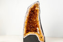 High - Grade Natural Citrine Geode with Rich Cognac - Orange Druzy and Calcite Inclusion (33 lb) - E2D Crystals & Minerals