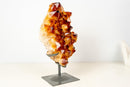 AAA - Grade Madeira Citrine Crystal Cluster with Large Sparkling Druzy on Custom Stand (20 lb / 15 In) - E2D Crystals & Minerals