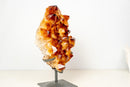 AAA - Grade Madeira Citrine Crystal Cluster with Large Sparkling Druzy on Custom Stand (20 lb / 15 In) - E2D Crystals & Minerals