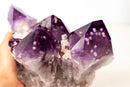Grape Jelly Amethyst Druzy Cluster with Rare Cristobalite Inclusions - Brazilian Mineral Specimen (3.15 kg / 7 lb) - E2D Crystals & Minerals