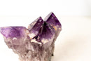 Grape Jelly Amethyst Druzy Cluster with Rare Cristobalite Inclusions - Brazilian Mineral Specimen (3.15 kg / 7 lb) - E2D Crystals & Minerals