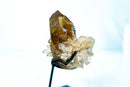 Collector Natural Cognac Citrine Quartz Crystal - Mica & Feldspar Inclusions, Record Keeper (1.6 lb, 7 in) - E2D Crystals & Minerals