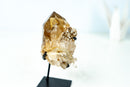 Collector Natural Cognac Citrine Quartz Crystal - Mica & Feldspar Inclusions, Record Keeper (1.6 lb, 7 in) - E2D Crystals & Minerals