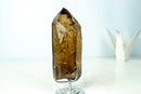 Natural Deep Honey - Gold Citrine Quartz Crystal with Feldspar Inclusions - Untreated Brazilian Specimen (3.1 lb) - E2D Crystals & Minerals