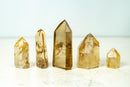 Set of 4 Water - Clear Citrine Quartz + 1 Hematoid Quartz Generators - E2D Crystals & Minerals