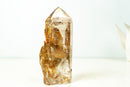 Landscape Quartz Generator Point with Natural Matrix - Brazilian Scenic Lodolite Quartz Tower, 2.2 Lb. 7 In. - E2D Crystals & Minerals