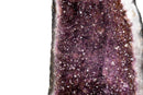 Amethyst Cathedral Geode (43 lb) – Sparkly Purple Druzy with Golden Goethite (AKA Cacoxenite) Inclusions - E2D Crystals & Minerals