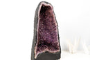 Amethyst Cathedral Geode (43 lb) – Sparkly Purple Druzy with Golden Goethite (AKA Cacoxenite) Inclusions - E2D Crystals & Minerals