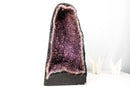 Amethyst Cathedral Geode (43 lb) – Sparkly Purple Druzy with Golden Goethite (AKA Cacoxenite) Inclusions - E2D Crystals & Minerals