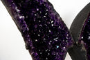 Grape Jelly Amethyst Butterfly Wings (33 In / 63 lb) – AAA Deep Purple Druzy Statement Pair - E2D Crystals & Minerals