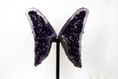 Grape Jelly Amethyst Butterfly Wings (33 In / 63 lb) – AAA Deep Purple Druzy Statement Pair - E2D Crystals & Minerals