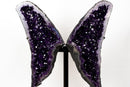 Grape Jelly Amethyst Butterfly Wings (33 In / 63 lb) – AAA Deep Purple Druzy Statement Pair - E2D Crystals & Minerals
