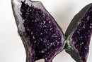 Superb Amethyst Butterfly Wings (3 Ft / 104lb) – Deep Purple Druzy with Calcite, Statement Pair - E2D Crystals & Minerals