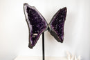 Superb Amethyst Butterfly Wings (3 Ft / 104lb) – Deep Purple Druzy with Calcite, Statement Pair - E2D Crystals & Minerals