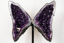 Superb Amethyst Butterfly Wings (3 Ft / 104lb) – Deep Purple Druzy with Calcite, Statement Pair - E2D Crystals & Minerals