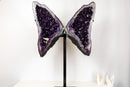Superb Amethyst Butterfly Wings (3 Ft / 104lb) – Deep Purple Druzy with Calcite, Statement Pair - E2D Crystals & Minerals