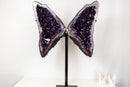 Superb Amethyst Butterfly Wings (3 Ft / 104lb) – Deep Purple Druzy with Calcite, Statement Pair - E2D Crystals & Minerals