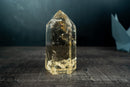 Natural Yellow Citrine Quartz Crystal Generator Point - Genuine Brazilian Citrine (1225 g / 2.7 lb) - E2D Crystals & Minerals