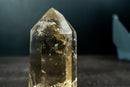Natural Yellow Citrine Quartz Crystal Generator Point - Genuine Brazilian Citrine (1225 g / 2.7 lb) - E2D Crystals & Minerals