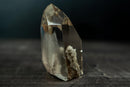 AAA - Grade White Phantom Quartz with Lodolite Inclusions - Diamantina, Brazil (356g | .8 Lb) - E2D Crystals & Minerals