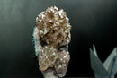 Collector Amethyst Flower Rosette with Rare Goethite Needles - White - Green Druzy (4.2 lb) - E2D Crystals & Minerals