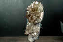 Collector Amethyst Flower Rosette with Rare Goethite Needles - White - Green Druzy (4.2 lb) - E2D Crystals & Minerals