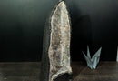 Ultra - Rare Sugar - Coated Stalactite Amethyst Geode (AKA "Chuveirinho) and Chalcedony (22.7 Kg - 50 lb) - E2D Crystals & Minerals