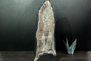 Ultra - Rare Sugar - Coated Stalactite Amethyst Geode (AKA "Chuveirinho) and Chalcedony (22.7 Kg - 50 lb) - E2D Crystals & Minerals