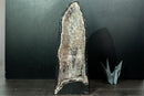 Ultra - Rare Sugar - Coated Stalactite Amethyst Geode (AKA "Chuveirinho) and Chalcedony (23 Kg - 51 lb) - E2D Crystals & Minerals