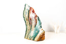 Brazilian Multicolor Polychrome Jasper Slab – Natural Green, Red & Cream Abstract Decor Sculpture, Large - E2D Crystals & Minerals