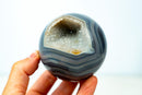 AAA - Grade Blue Banded Agate Geode Sphere with Druzy Cave - Natural Crystal Ball (587g) - E2D Crystals & Minerals