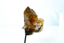 Collector Natural Cognac Citrine Quartz Crystal - Mica & Feldspar Inclusions, Record Keeper (1.6 lb, 7 in) - E2D Crystals & Minerals