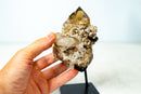 Collector Natural Cognac Citrine Quartz Crystal - Mica & Feldspar Inclusions, Record Keeper (1.6 lb, 7 in) - E2D Crystals & Minerals