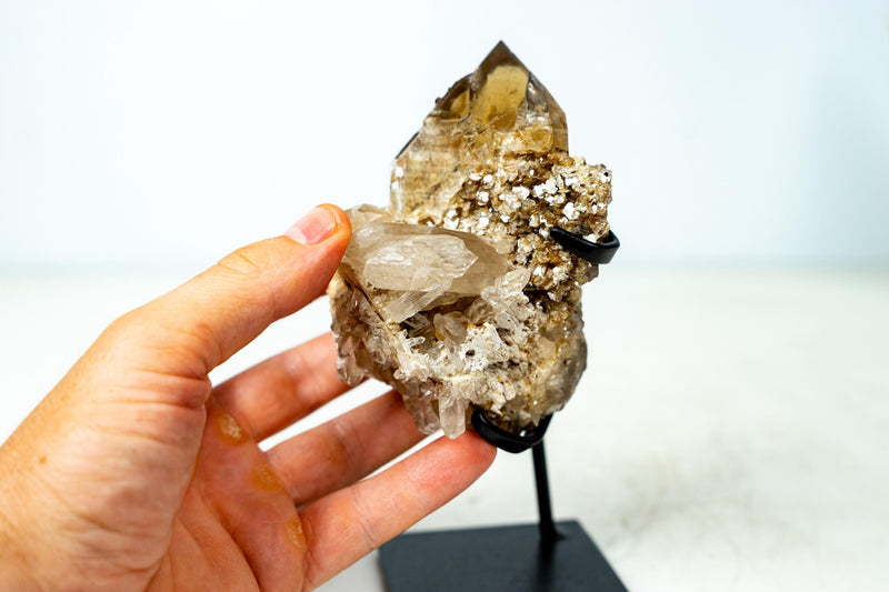 Lupus ビザール　石付き Quartz with Inclusions (Lodolite, Amphibole and Other)