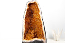 Deep Orange Citrine Cathedral Geode with Flower - Large Statement Piece of Super Extra Grade, Ethically Sourced (46 lb, 19.5 in) - E2D Crystals & Minerals