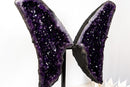 Grape Jelly Amethyst Butterfly Wings (33 In / 63 lb) – AAA Deep Purple Druzy Statement Pair - E2D Crystals & Minerals