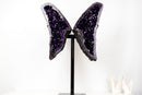 Grape Jelly Amethyst Butterfly Wings (33 In / 63 lb) – AAA Deep Purple Druzy Statement Pair - E2D Crystals & Minerals