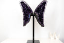 Grape Jelly Amethyst Butterfly Wings (33 In / 63 lb) – AAA Deep Purple Druzy Statement Pair - E2D Crystals & Minerals