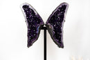 Grape Jelly Amethyst Butterfly Wings (33 In / 63 lb) – AAA Deep Purple Druzy Statement Pair - E2D Crystals & Minerals