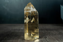 Natural Yellow Citrine Quartz Crystal Generator Point - Genuine Brazilian Citrine (1225 g / 2.7 lb) - E2D Crystals & Minerals