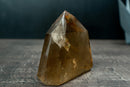 Genuine Unheated Natural Citrine Obelisk with Rare Feather Rainbow Inclusion – Smoky Champagne to Honey Gold Color (6 in, 3.3 lb) - E2D Crystals & Minerals