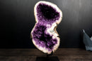 Amethyst Geode in Natural Infinity (8) Formation with Sparkly Purple Druzy and Flower Rosettes - E2D Crystals & Minerals