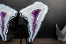 Blue Lace Agate Butterfly Wings Geode with Purple Amethyst Druzy - E2D Crystals & Minerals