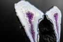 Blue Lace Agate Butterfly Wings Geode with Purple Amethyst Druzy - E2D Crystals & Minerals