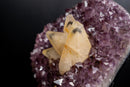 Collector Phantom Calcite on Amethyst - Ametista do Sul, Brazi - E2D Crystals & Minerals