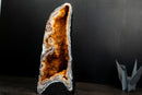Citrine Geode Cathedral with Stalactite Flowers Covered in Galaxy Druzy - E2D Crystals & Minerals